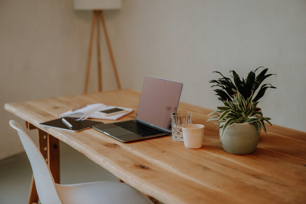 Escritorio ordenado con computadora, planta y taza sobre una mesa de madera en un ambiente luminoso